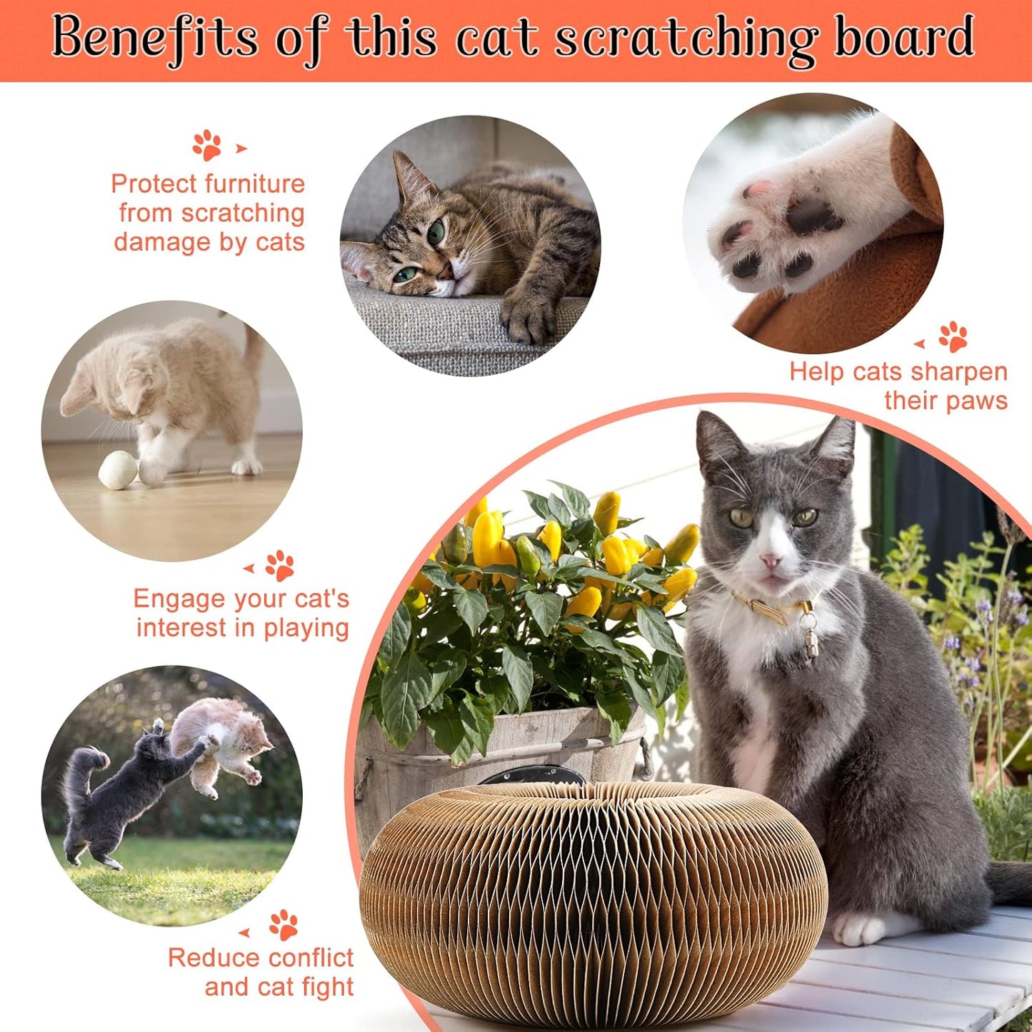 Cat Infinite Rotating Ball Scratcher