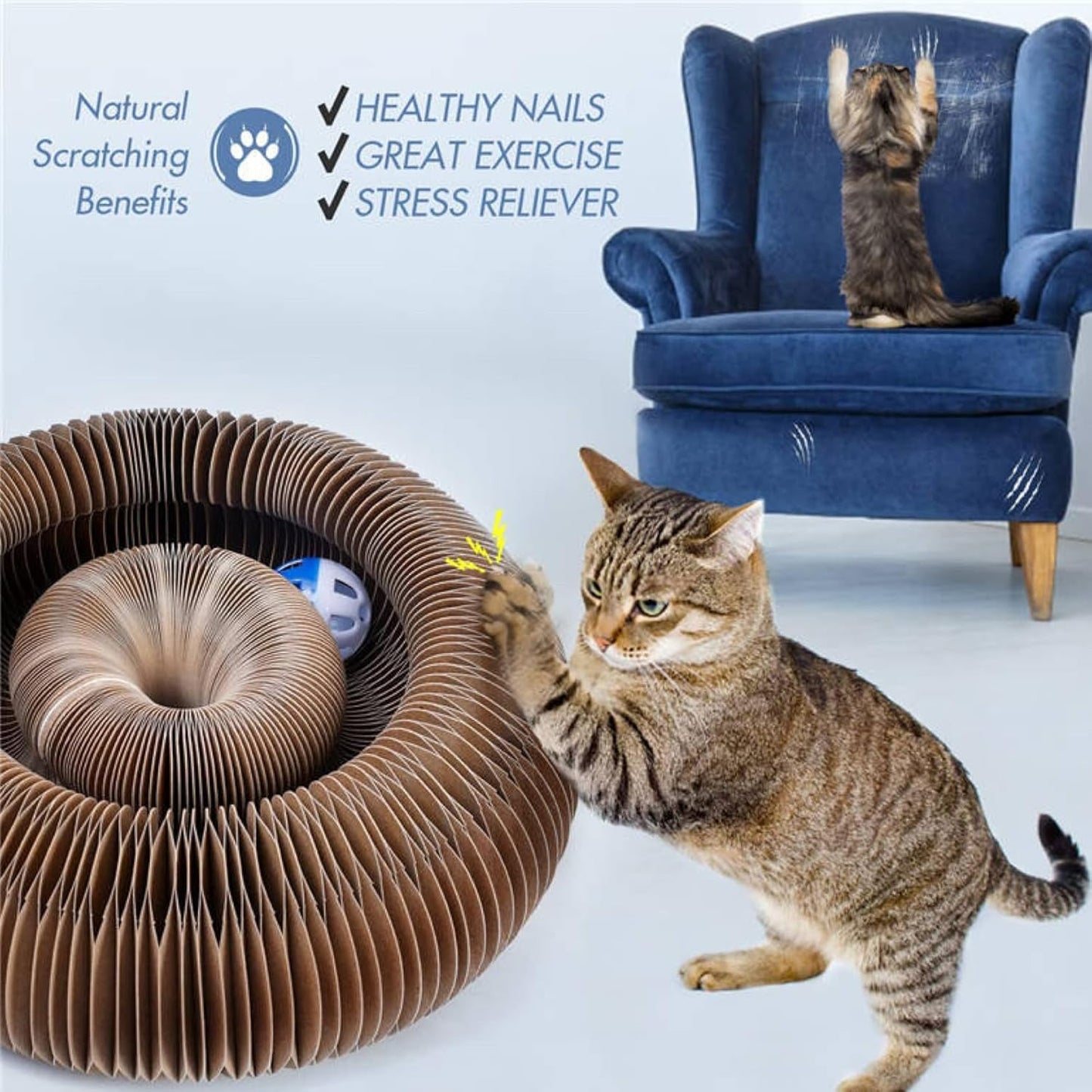 Cat Infinite Rotating Ball Scratcher