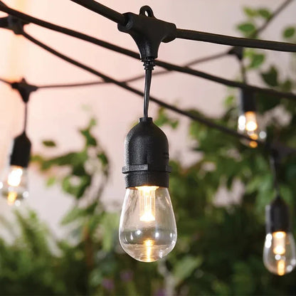 LED String Light Bulbs