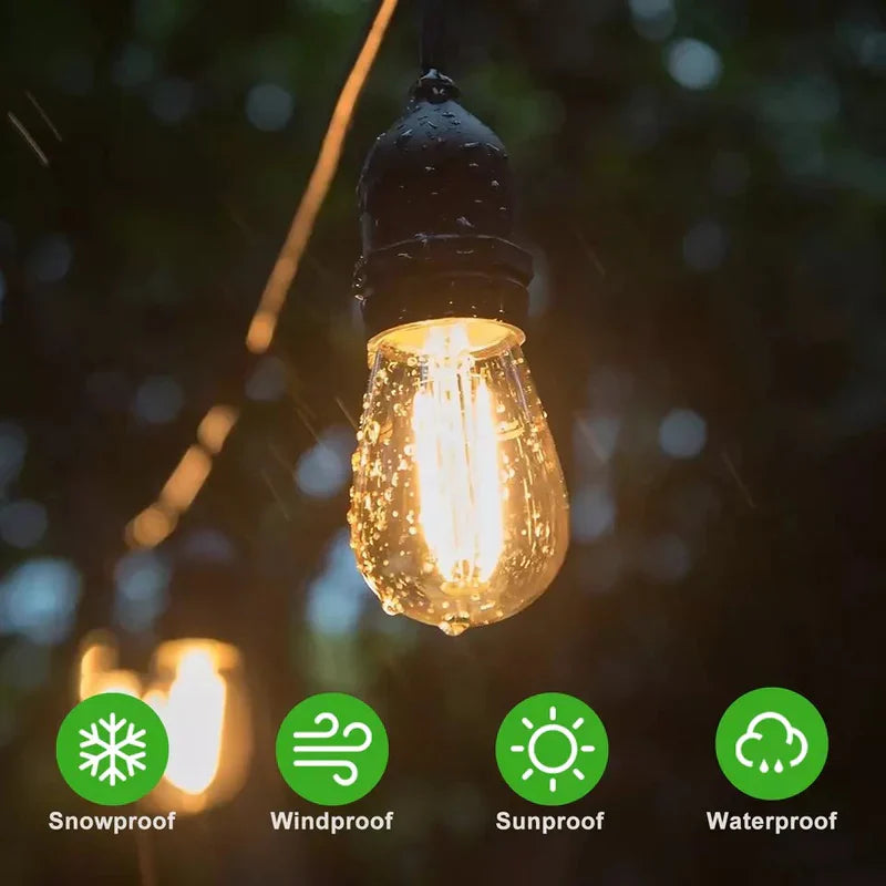 LED String Light Bulbs